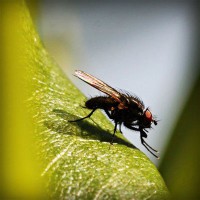 /album/molnar-es-tarsai-kft-/photolia-a04-jpg/