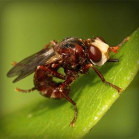 /album/molnar-es-tarsai-kft-/photolia-a06-jpg/