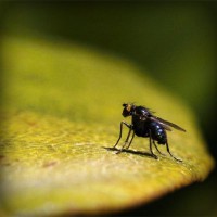 /album/molnar-es-tarsai-kft-/photolia-a07-jpg/